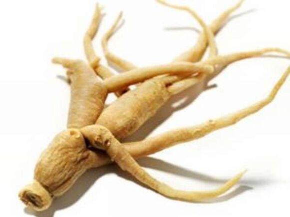 Ginseng -wortel