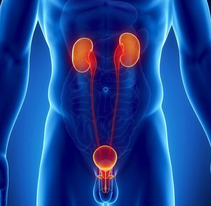 welke chronische ziekten de mannelijke potentie kunnen beïnvloeden